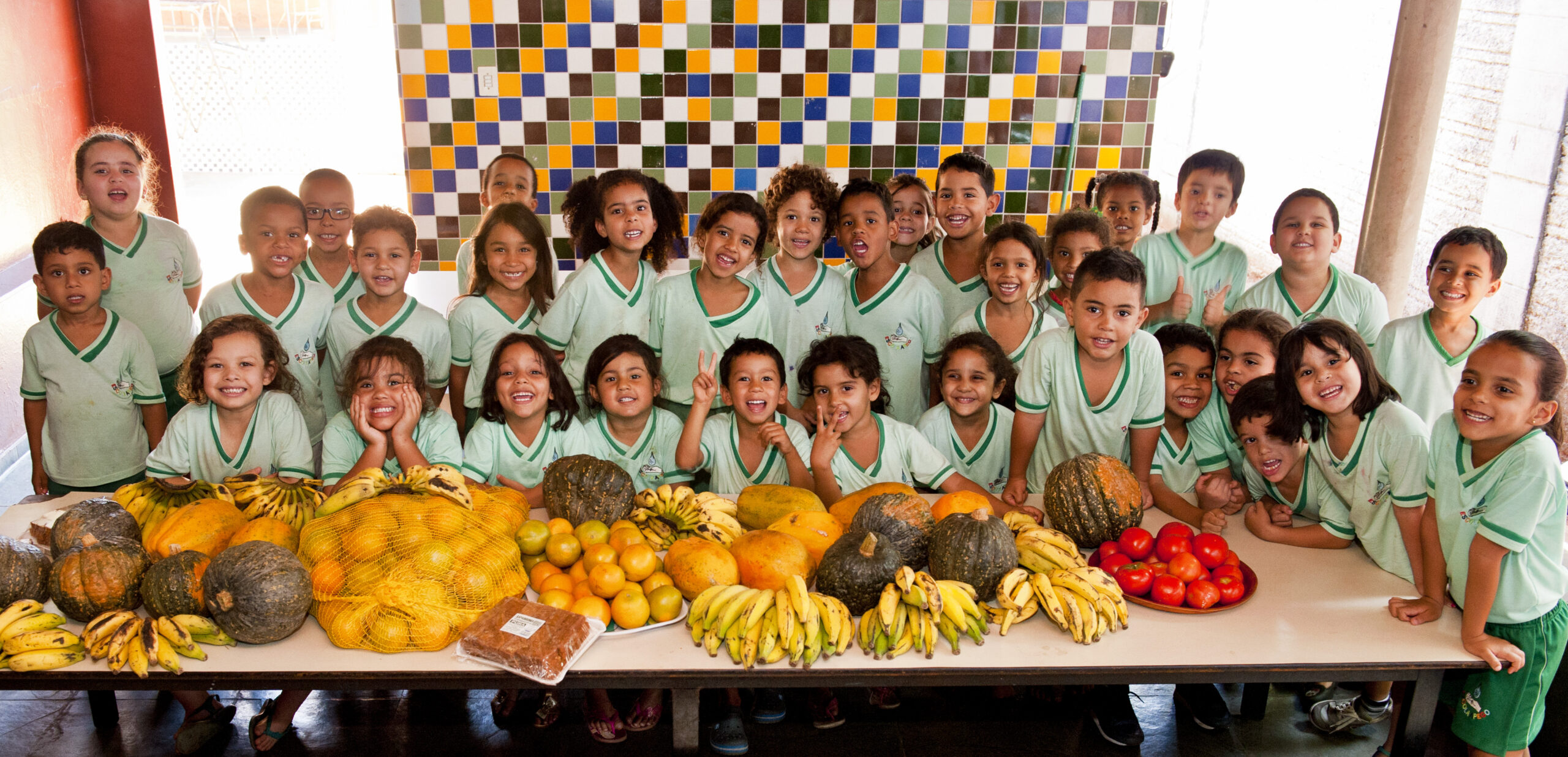 Programas alimentares do Governo